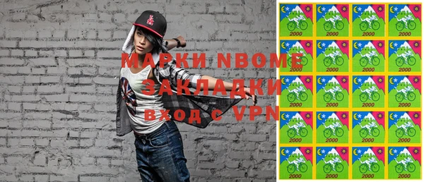 индика Архангельск