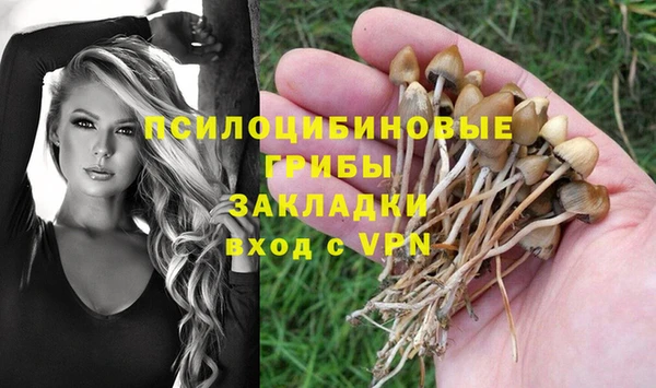 ешки Каменка