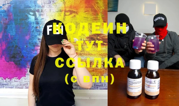 хмурый Карпинск