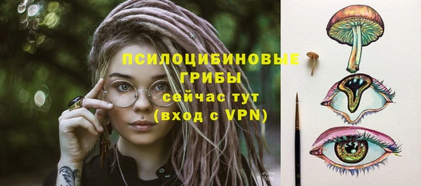 Альфа ПВП Карталы