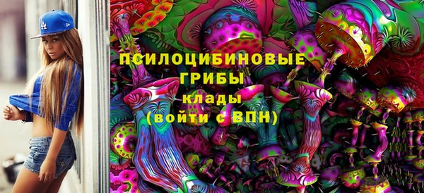 метадон Каменногорск