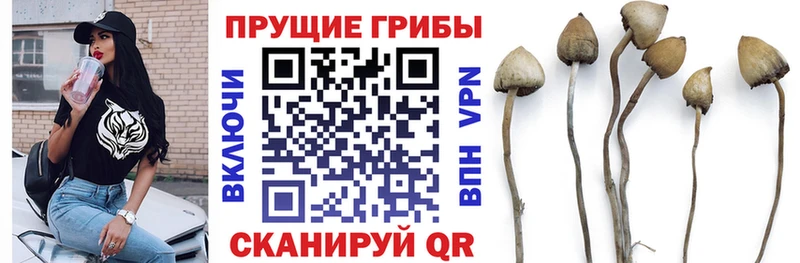 Псилоцибиновые грибы Magic Shrooms  Купить  Луга 